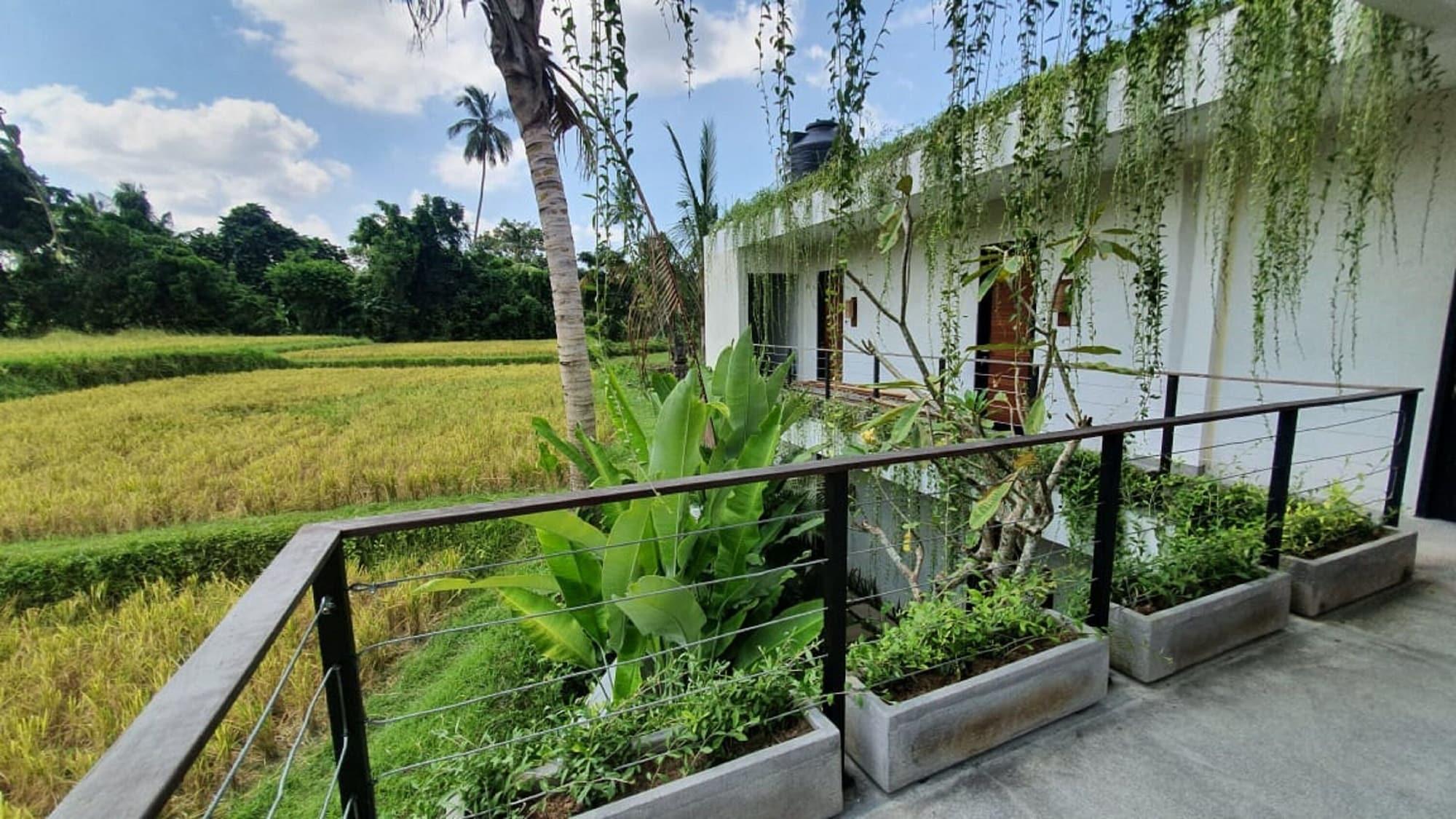 Pandawa Ubud Hotel Bagian luar foto