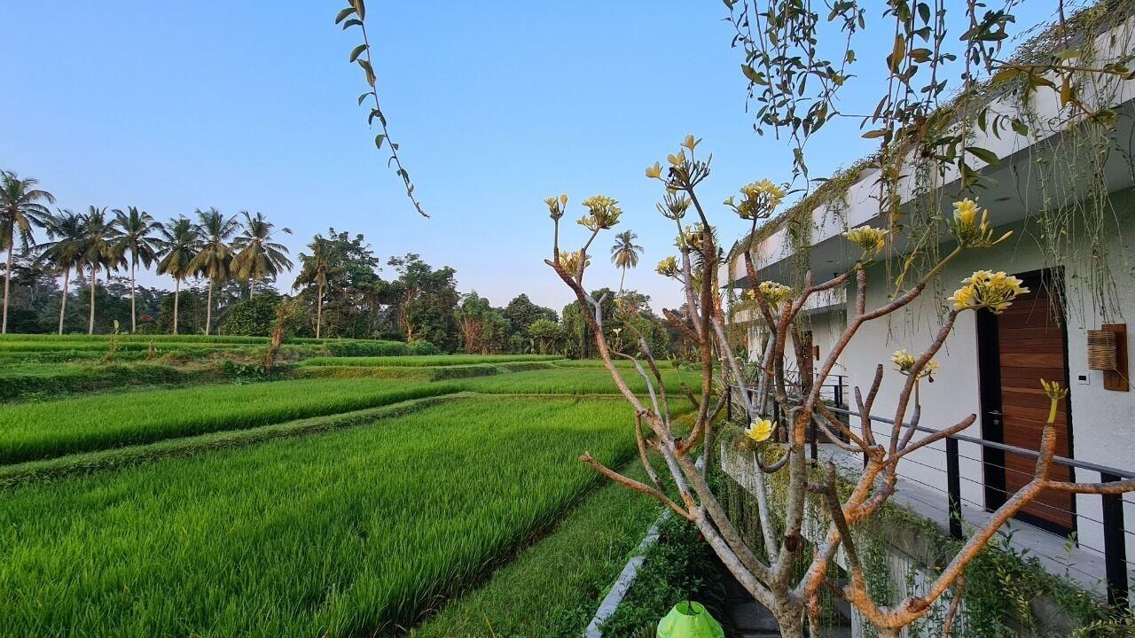 Pandawa Ubud Hotel Bagian luar foto