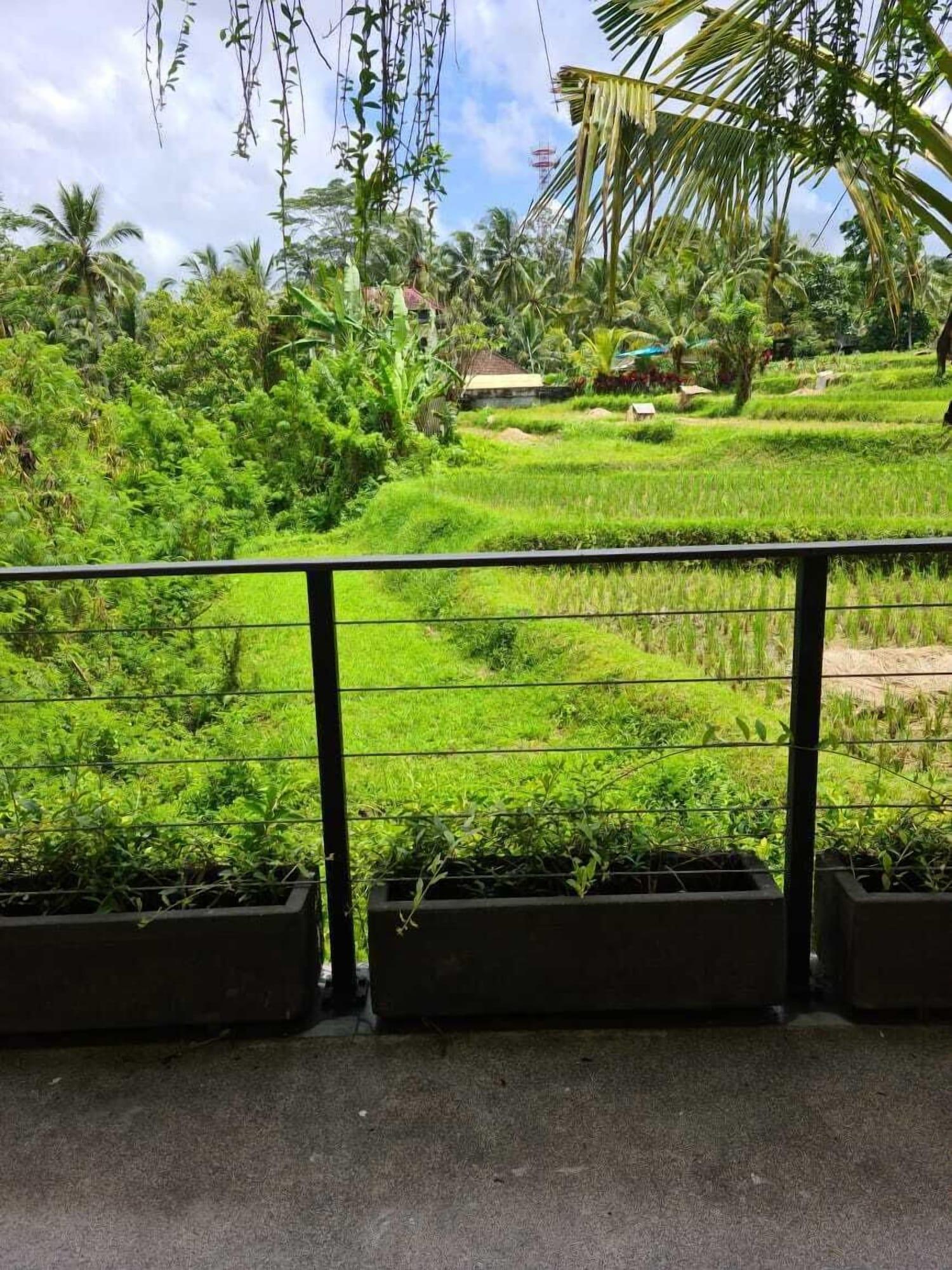 Pandawa Ubud Hotel Bagian luar foto