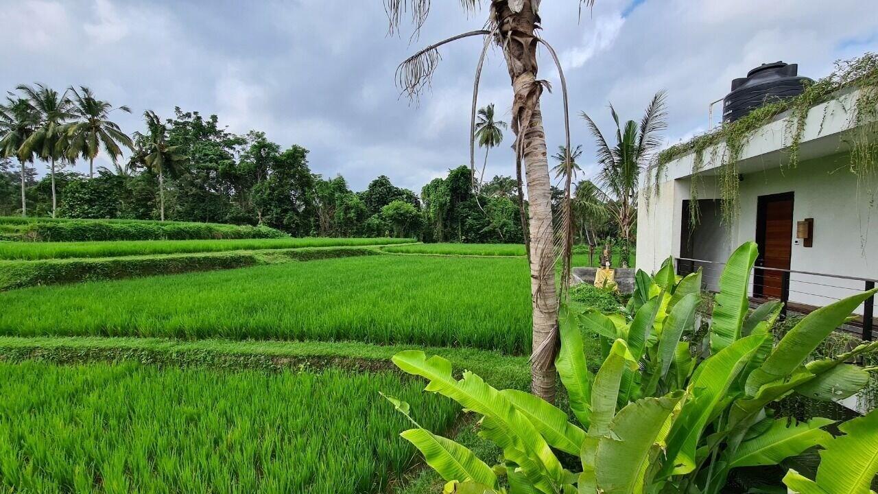 Pandawa Ubud Hotel Bagian luar foto