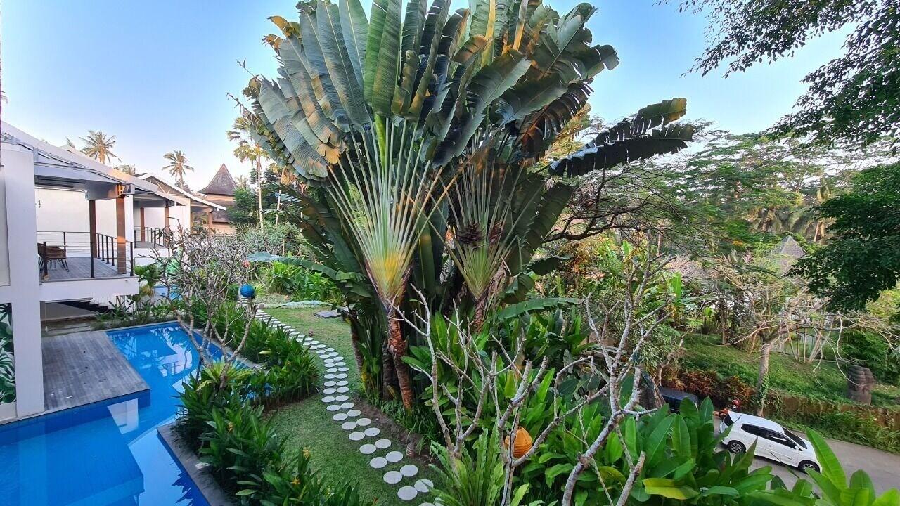 Pandawa Ubud Hotel Bagian luar foto